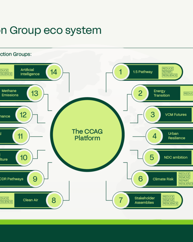 Climate Crisis Advisory Group (CCAG) — Strategic Pitch Deck